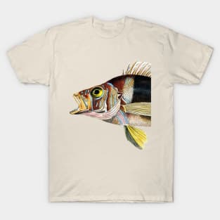 Musical Fish in G Flat T-Shirt